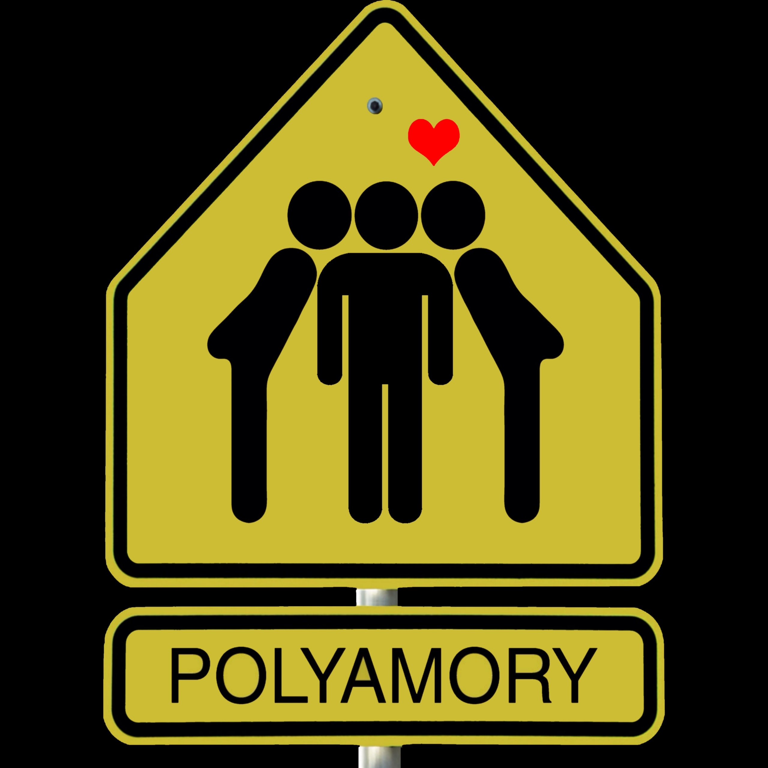 Polyamory vs swinging meme